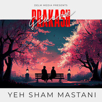 Yeh Sham Mastani (Cover)