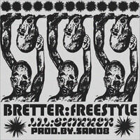 Bretter Freestyle