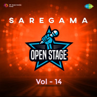 Saregama Open Stage Vol - 14