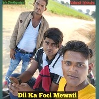 Dil Ka Fool Mewati