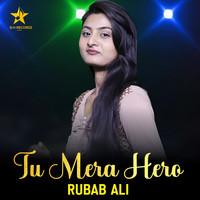 Tu Mera Hero