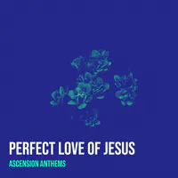 Perfect Love of Jesus