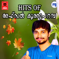 Hits Of Afsal Koothuparambu