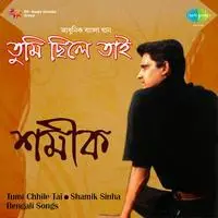 Shamik Sinha - Tumi Chhile Tai
