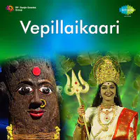 Vepillaikaari - T.V. Serial