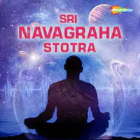 Sri Navagraha Stotra