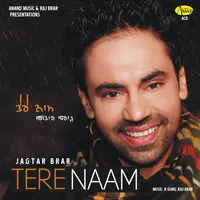 Tere Naam