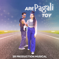 Are Pagali Toy