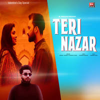 Teri Nazar