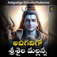 Adigadigo Srisaila Mallanna