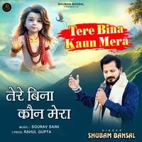 Tere Bina Kaun Mera