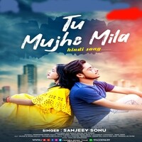 Tu Mujhe Mila Hindi Song