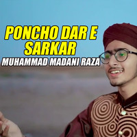 Poncho Dar E Sarkar