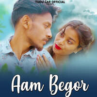 Aam Begor