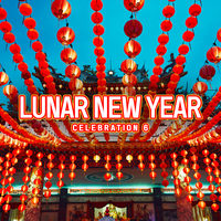 Lunar New Year Celebration 6