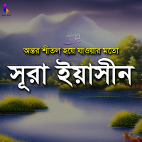 অন্তর শীতল হয়ে যাওয়ার মতো সূরা ইয়াসীন