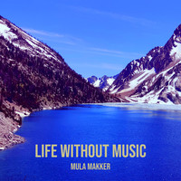 Life Without Music