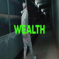 Wealth