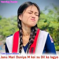 Janu Mari Duniya M koi su Dil ko lagyo