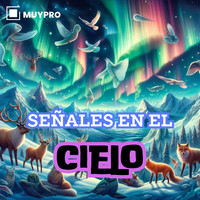 Señales En El Cielo