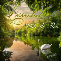 L'essentiel a La Flute De Pan