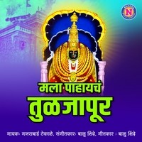 Mala Pahaycha Tuljapur