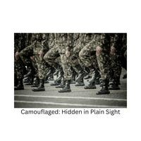Camouflaged: Hidden in Plain Sight - season - 1