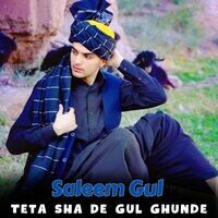Teta Sha De Gul Ghunde