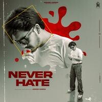 Never Hate