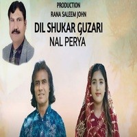 Dil Shukar Guzari Nal Perya