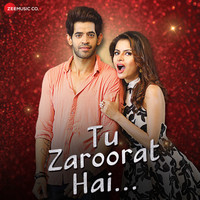 Tu Zaroorat Hai (Original Motion Picture Soundtrack)