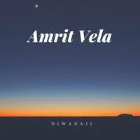 Amrit Vela