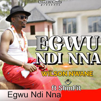 Egwu Ndi Nna