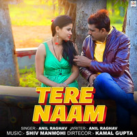 Tere Naam