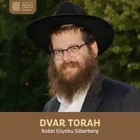 Dvar Torah, Rabbi Elyahu Silberberg - season - 14