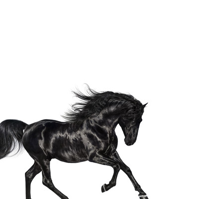 old town road mp3 download