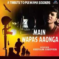 A Tribute To Pulwama Soldiers