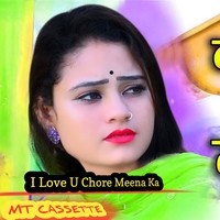 I Love U Chore Meena Ka