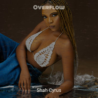 Overflow (Overdo$E)