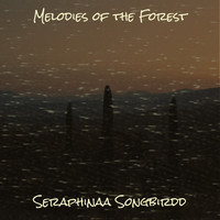 Melodies of the Forest