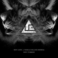 Hey Lion (Tom & Collins Remix)