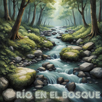 Rio En El Bosque