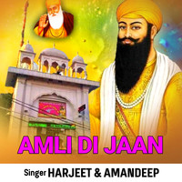 Amli Di Jaan