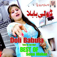 Best Of Sona Mehar Doli Babula Tura Ga Jad Mari