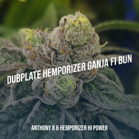 Dubplate Hemporizer Ganja Fi Bun