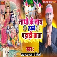 Nathon Ke Nath Howve  Pahari Baba