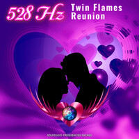 528hz Twin Flames Reunion