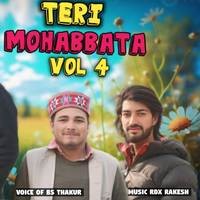 Teri Mohabbata Vol 4