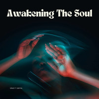 Awakening the Soul