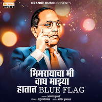 Bhimrayacha Mi Wagh Majhya Hatat Blue Flag